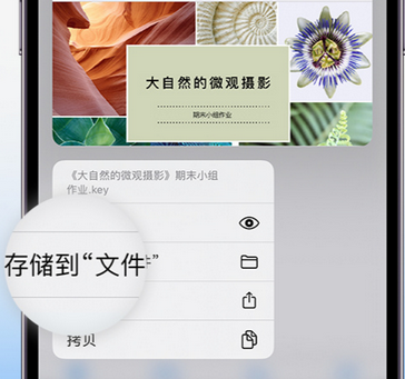 源汇apple维修中心分享iPhone文件应用中存储和找到下载文件