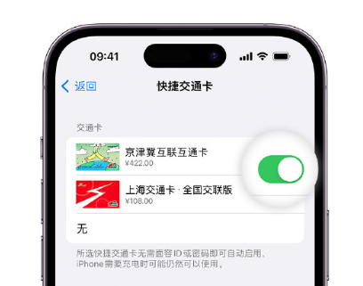 源汇apple维修点分享iPhone上更换Apple Pay快捷交通卡手绘卡面 