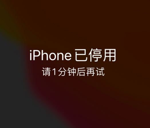 源汇苹果手机维修分享:iPhone 显示“不可用”或“已停用”怎么办？还能保留数据吗？ 