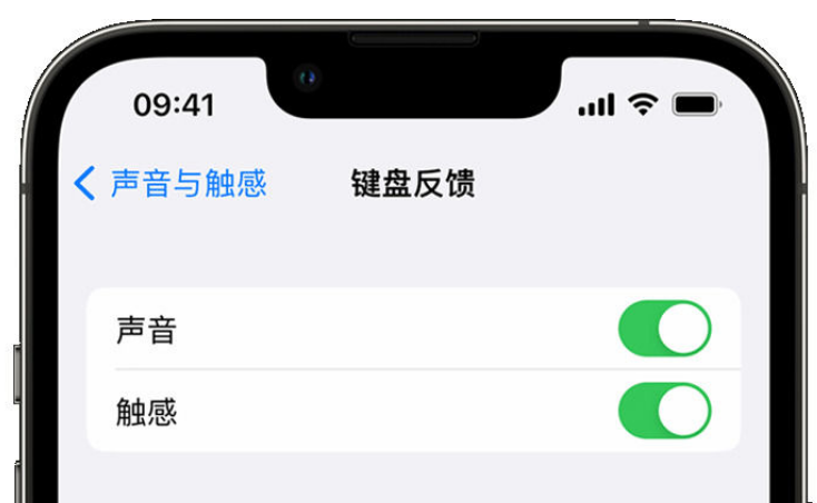 源汇苹果手机维修分享iPhone 14触感键盘使用方法 