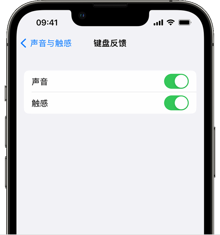 源汇苹果14维修店分享如何在 iPhone 14 机型中使用触感键盘 