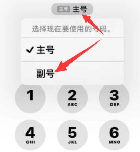 源汇苹果14维修店分享iPhone 14 Pro Max使用副卡打电话的方法 