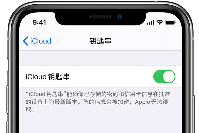 源汇苹果手机维修分享在 iPhone 上开启 iCloud 钥匙串之后会储存哪些信息 