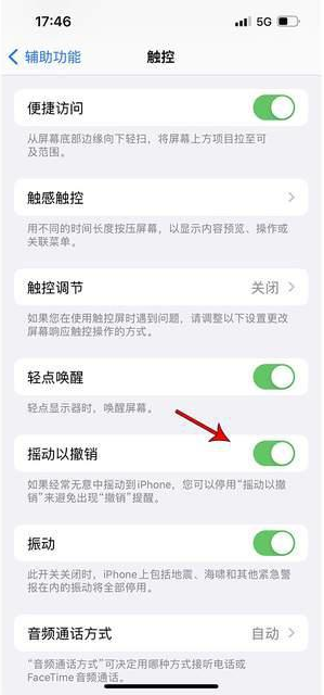 源汇苹果手机维修分享iPhone手机如何设置摇一摇删除文字 