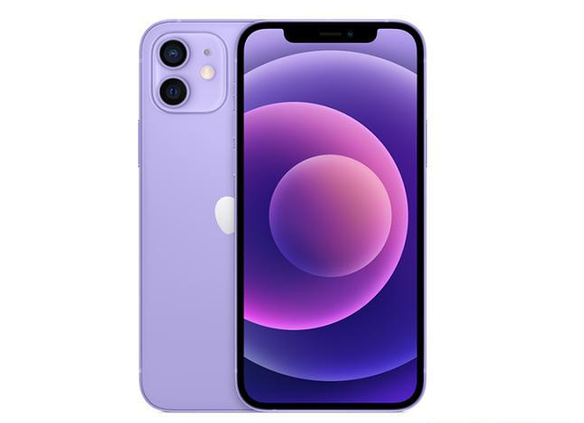源汇苹果手机维修分享现阶段要不要入手紫色版iPhone12 